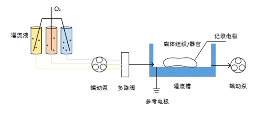 2025101520945224.jpg 3.jpg