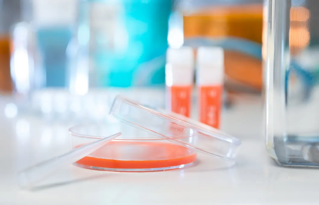 2025122540222462.webp 640.webp